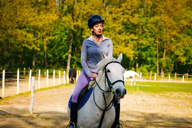 istock Woman practicing with her horse outdoors 1144659620