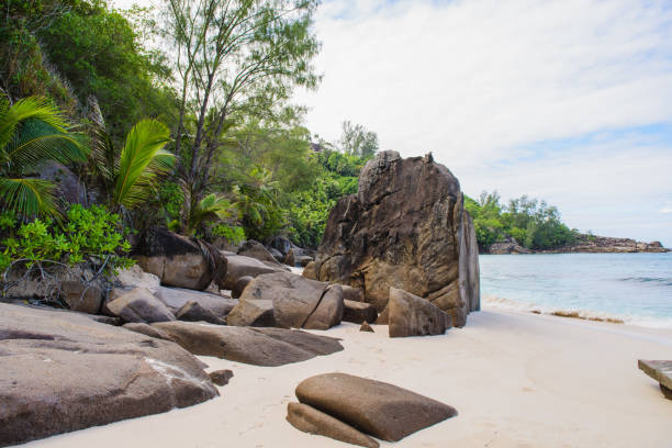 istock Seychelles beach coast with stones no people 1144666248