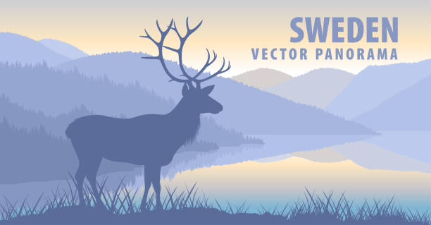 bildbanksillustrationer, clip art samt tecknat material och ikoner med vektor panorama över sverige med viltskav - skog sverige