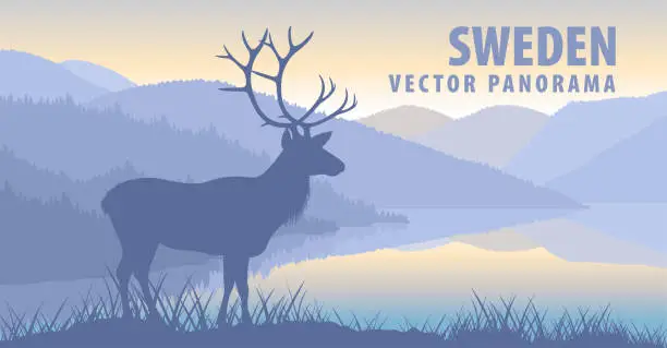 Vector illustration of vector panorama of Sweden with  raindeer