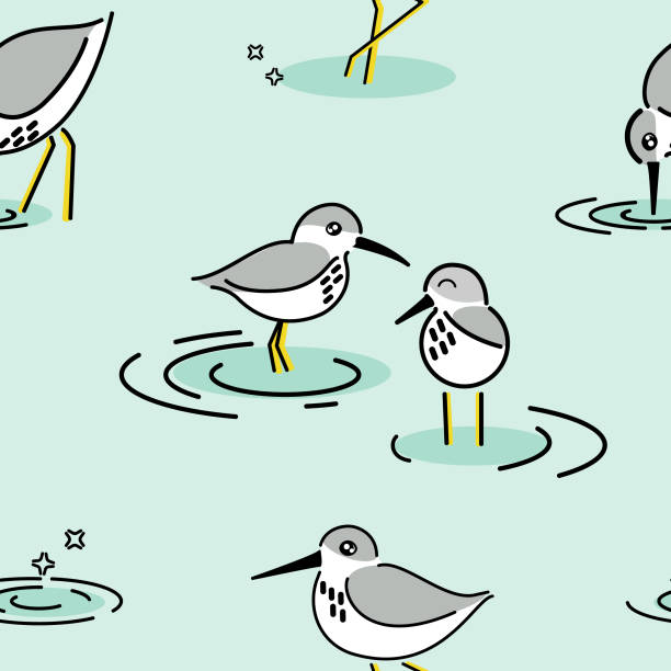 Happy Sandpipers Taking inspiration from happy little Sandpipers, this pattern is perfect for textiles, backgrounds, wallpaper, or any way you like it! sandpiper stock illustrations