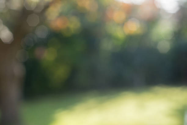 istock Autumn colours for background, blurred light 1144669315