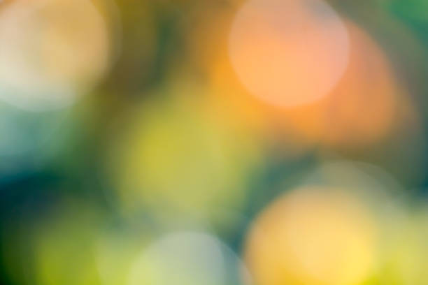 istock Autumn colours for background, blurred light 1144669333