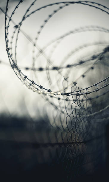 Abstract background with coils of barbed wire. Gloomy abstract blurred background with coils of barbed wire. barbed wire photos stock pictures, royalty-free photos & images
