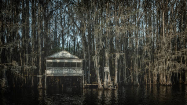 cabana remota no rio - lago caddo - fotografias e filmes do acervo