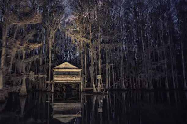 Photo of Remote River Hut at night