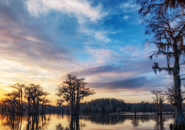 istock Sunset Silhouette Caddo Lake 1144674230