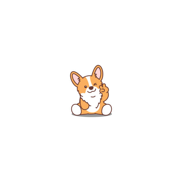 ilustraciones, imágenes clip art, dibujos animados e iconos de stock de lindo corgi cachorro sentado y guiñando el icono de la historieta del ojo, ilustración vectorial - corgi galés pembroke