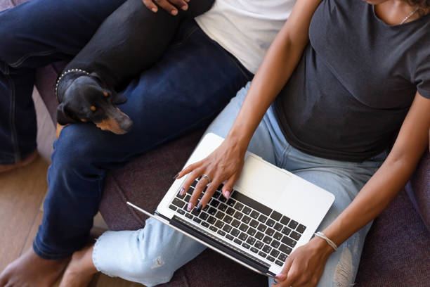 istock Above view couple sitting on couch with dachshund and computer 1144680185