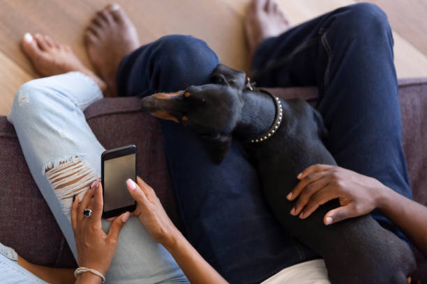 cropped above view african couple resting with pet use phone - dog dachshund pets close up imagens e fotografias de stock