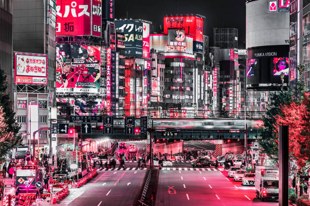 istock Shinjuku district - Tokyo, Japan 1144681194