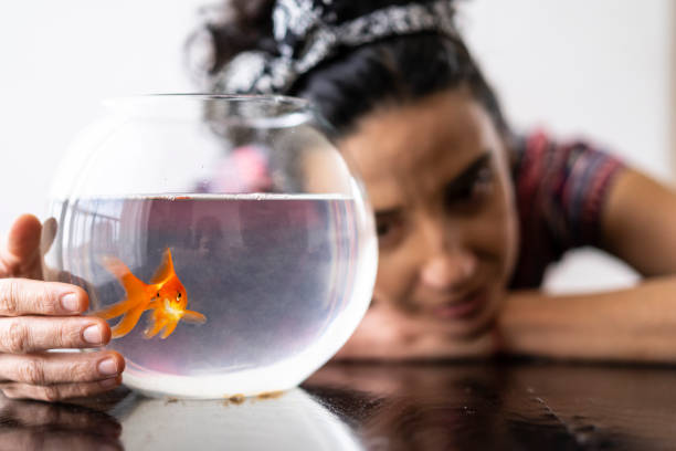 istock Woman holding fishbowl with gold fish 1144683017