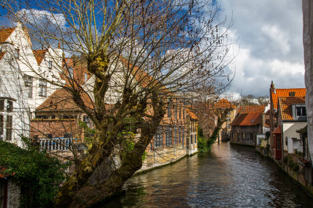 istock Brugge Belgium Images 1144685107