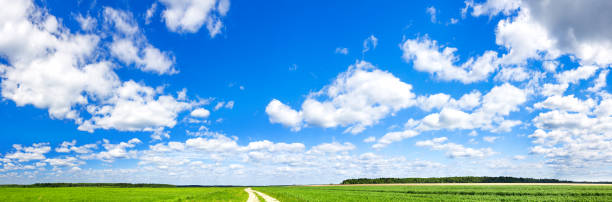 paysage de printemps avec le ciel bleu, les nuages blancs et le champ - footpath single lane road road farm photos et images de collection