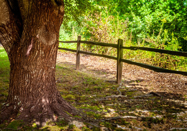 Cedar fence post trail marker in Hill Country State Natural Area, Bandera Texas.