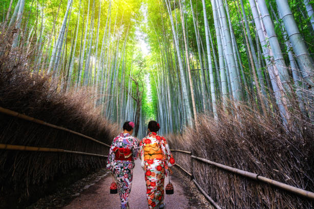 podróżny podróż w kioto, japonia. - sagano zdjęcia i obrazy z banku zdjęć
