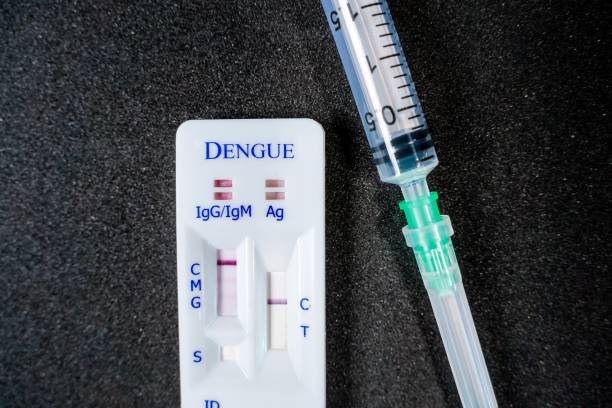 istock Dengue Rapid Test Kit against black background 1144703057