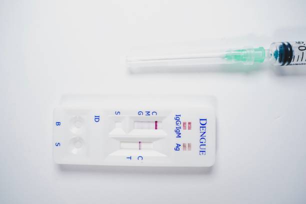 istock Dengue Rapid Test Kit against white background 1144703251