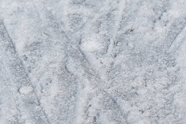 istock Early spring snow texture close up.  Abstract natural background 1144709966