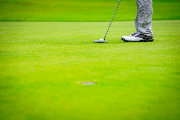 istock Golfer putting golf ball on green to hole in golf course 1144711897