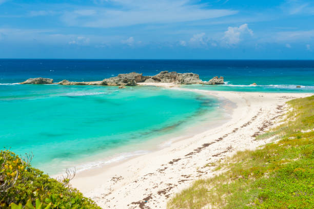 istock Beautiful Caribbean island beach 1144714586