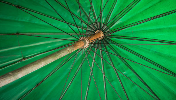 istock Green umbrella in the market 1144716273