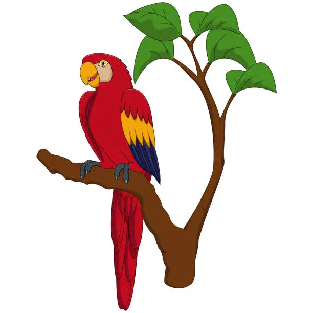 Vector illustration of Cartoon macaw on tree branch
