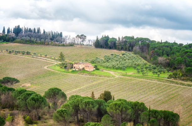 istock Tuscany landscape in springtime 1144718296