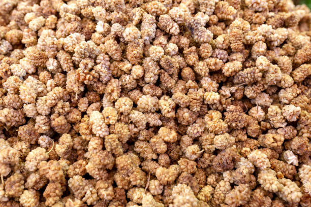 istock Background of Dried white mulberries 1144724079