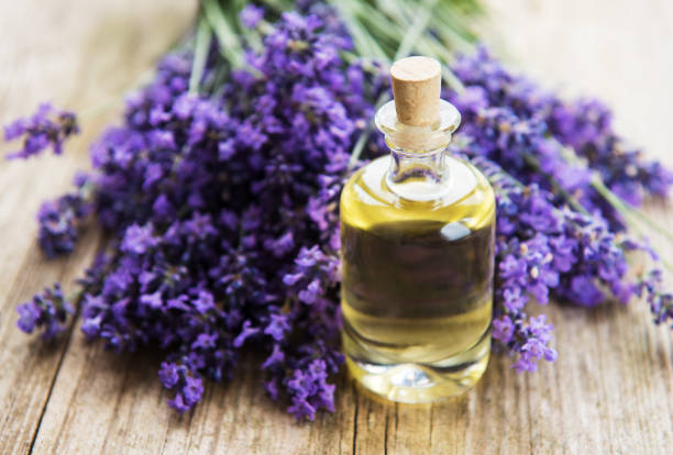istock Essential oil with fresh lavender 1144724182