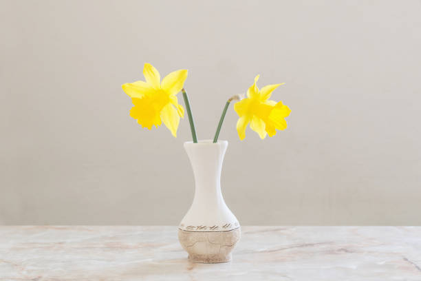 yellow daffodils in vase on marble table