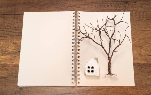 Tree without leaves with white house on white blank notebook stock photo