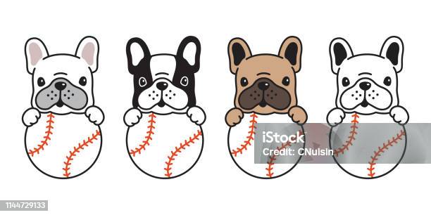Dog Vector French Bulldog Baseball Icon Ball Character Cartoon Pet Logo Puppy Illustration Stock Illustration - Download Image Now