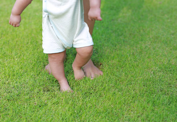 istock Infant baby learning to walk with his mother on the green grass. First steps. 1144729206