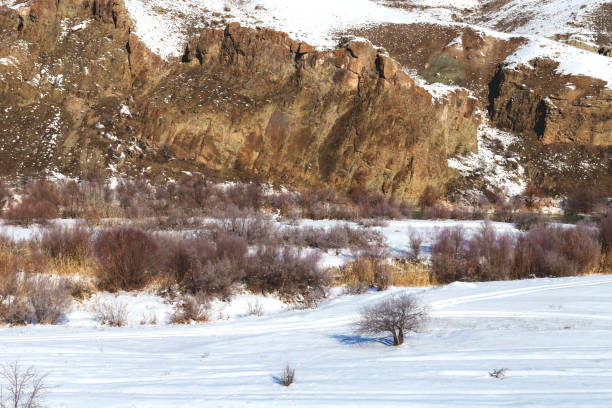istock Snowy landscape from the train window 1144731125