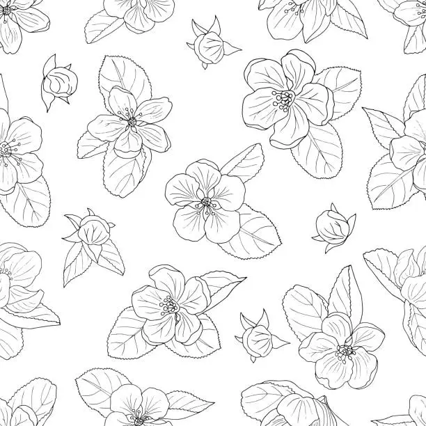 Vector illustration of Seamless background of hand-drawn apple blossom, coloring page