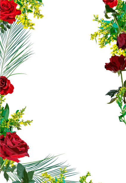 ilustrações de stock, clip art, desenhos animados e ícones de frame of red roses, yellow mimosa and tropical branches. - christmas holly frame ivy