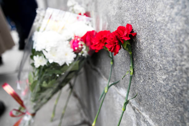 istock Red carnations flowers seen on the memorial stone 1144735030