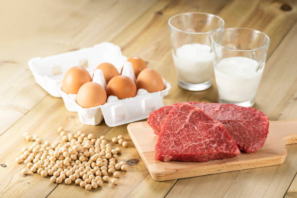 Brasil Bate Recorde na Produção de Proteína Animal. Imagem: Istockphoto.com Brasil Bate Recorde na Produção de Proteína Animal. Imagem: Istockphoto.com