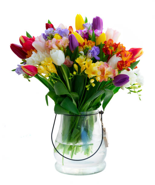 istock fresh tulips flowers 1144737686