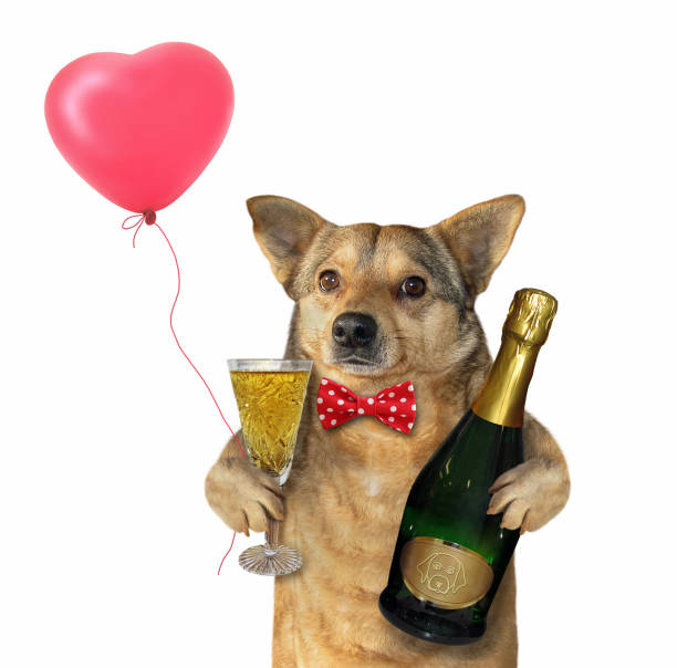 istock Dog with a champagne glass 2 1144737687