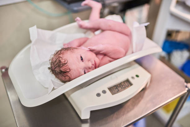 istock Our princess is healthy and beautiful 1144739842