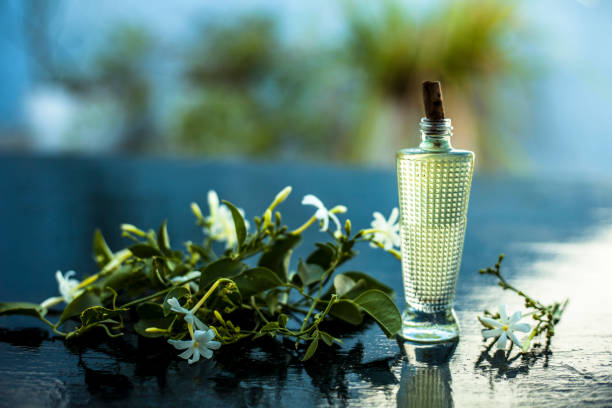 Close up of spray or perfume of Indian jasmine flower or juhi or Jasminum Auriculatum on wooden surface in a small bottle with raw flowers. Close up of spray or perfume of Indian jasmine flower or juhi or Jasminum Auriculatum on wooden surface in a small bottle with raw flowers. jasminum auriculatum flowers stock pictures, royalty-free photos & images