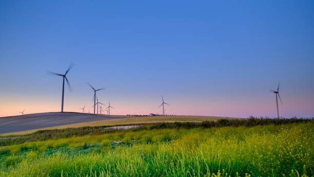 istock Spring evening light and sunset on the landscape near Arroyo del Olivillo between Sanlucar and Jerez de la Frontera, Cadiz, Andalucia, Spain 1144741921