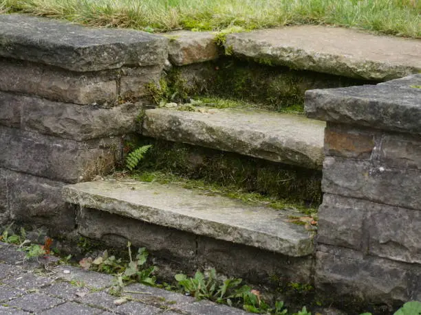 short stairs  in quarrystone with weeds overgrown ,Stair oblique view, tree steps, outdoor view