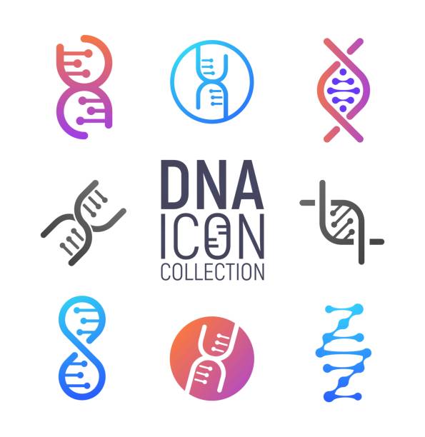 dna-vektorlok-sammlung isoliert. deoxyribonukleinukleinsäure-logotyp-set. moderne einfache mikrobiologische ikonen auf weißem hintergrund - chromosome stock-grafiken, -clipart, -cartoons und -symbole