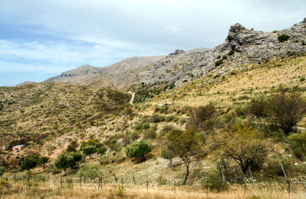 탑 오브 마운틴 - andalusia landscape spanish culture olive tree 뉴스 사진 이미지