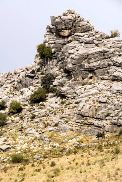 parte superior da montanha - andalusia landscape spanish culture olive tree - fotografias e filmes do acervo