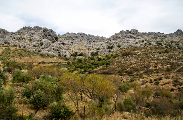 parte superior da montanha - andalusia landscape spanish culture olive tree - fotografias e filmes do acervo