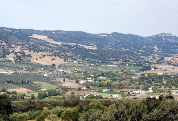 parte superior da montanha - andalusia landscape spanish culture olive tree - fotografias e filmes do acervo